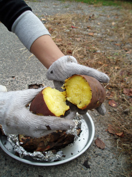 091108焼き芋.jpg