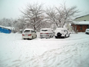 091231大雪.jpg