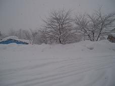 1月14日雪.jpg