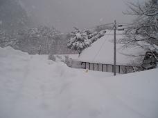 21日雪1.jpg
